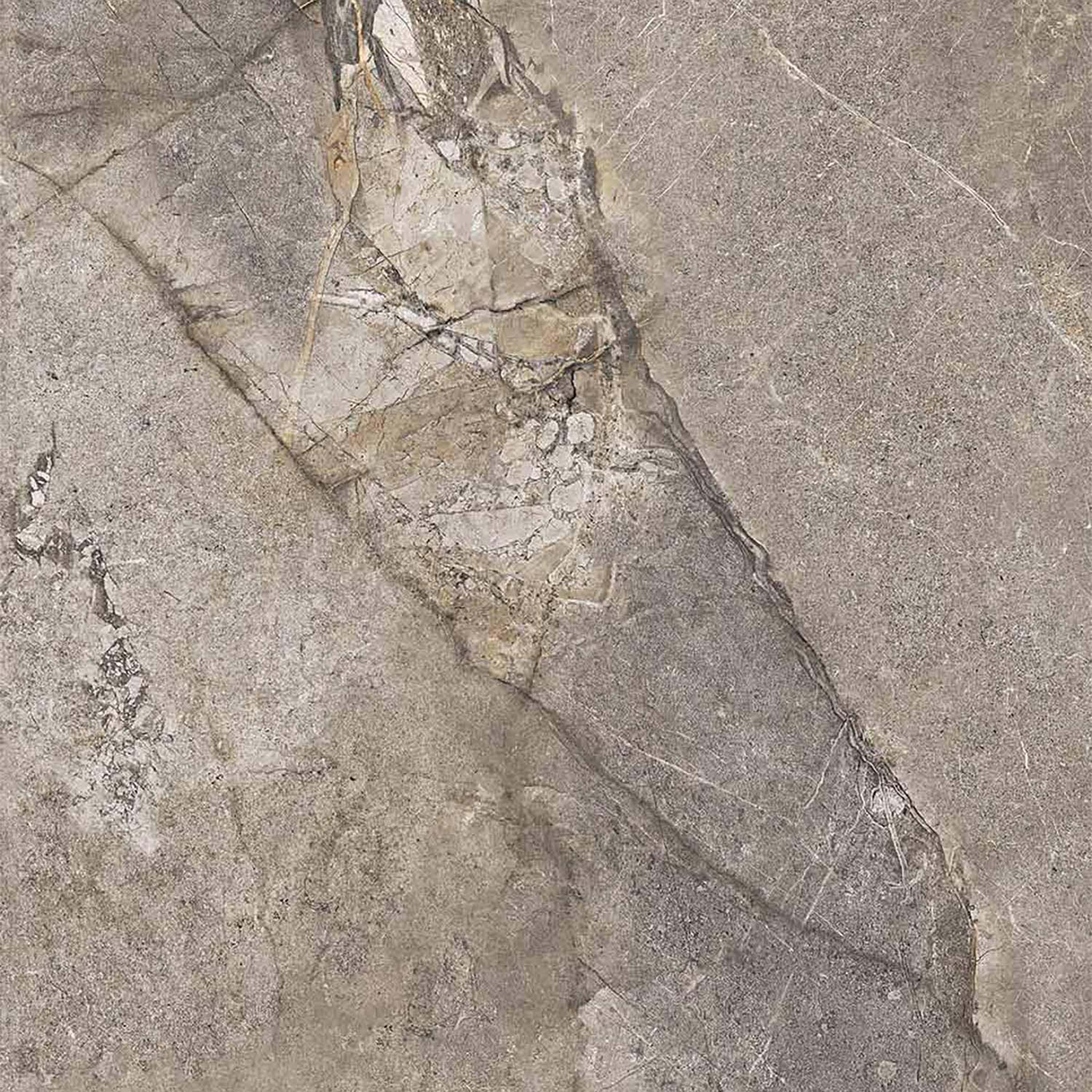 Mostrar el producto Fiori Di Bosco Polished Grey Porcelian Tile 60x120 del fabricante Kaleseramik