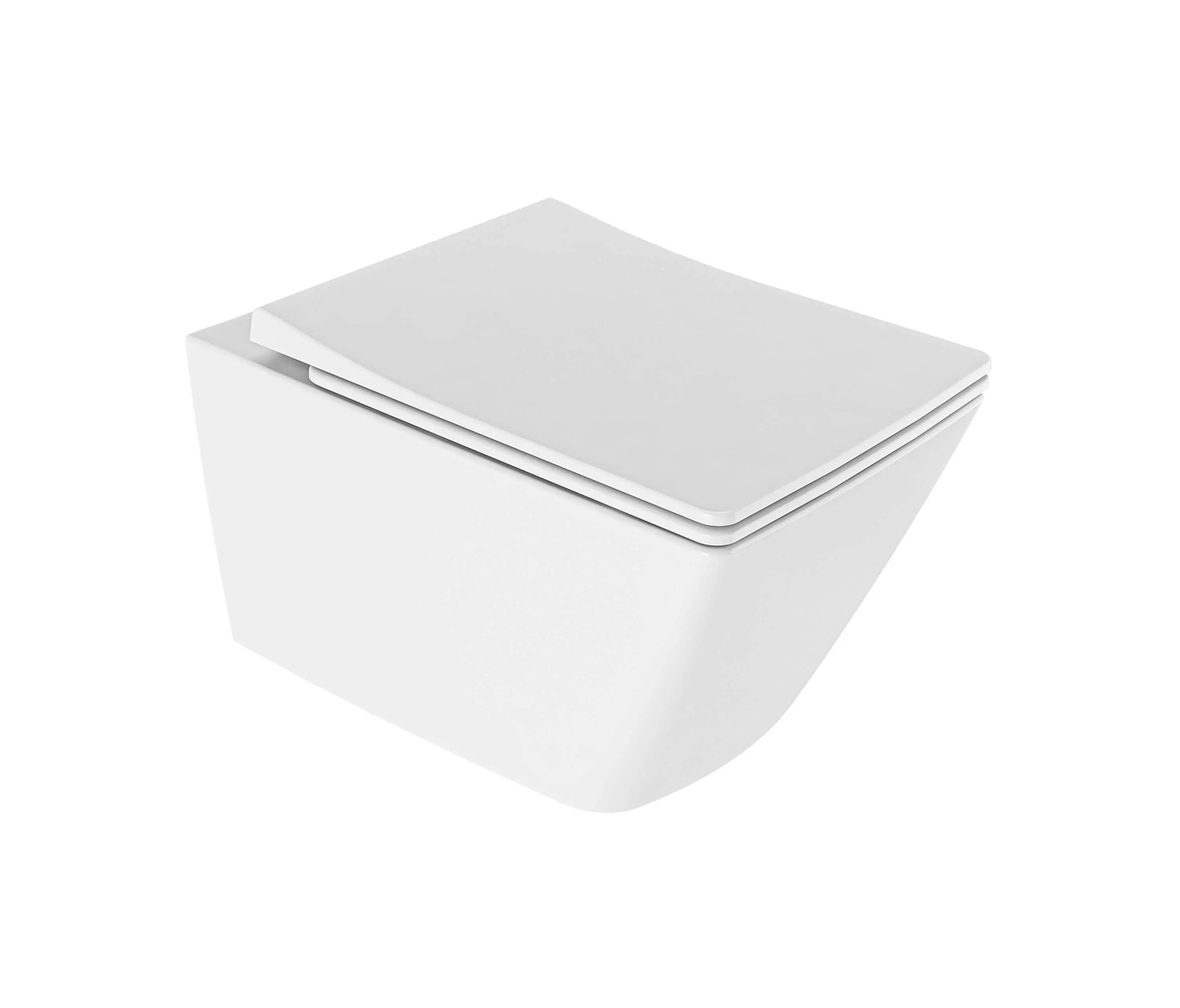 Kaleseramik - Solid Rimless Wallhung WC With Bidet Function