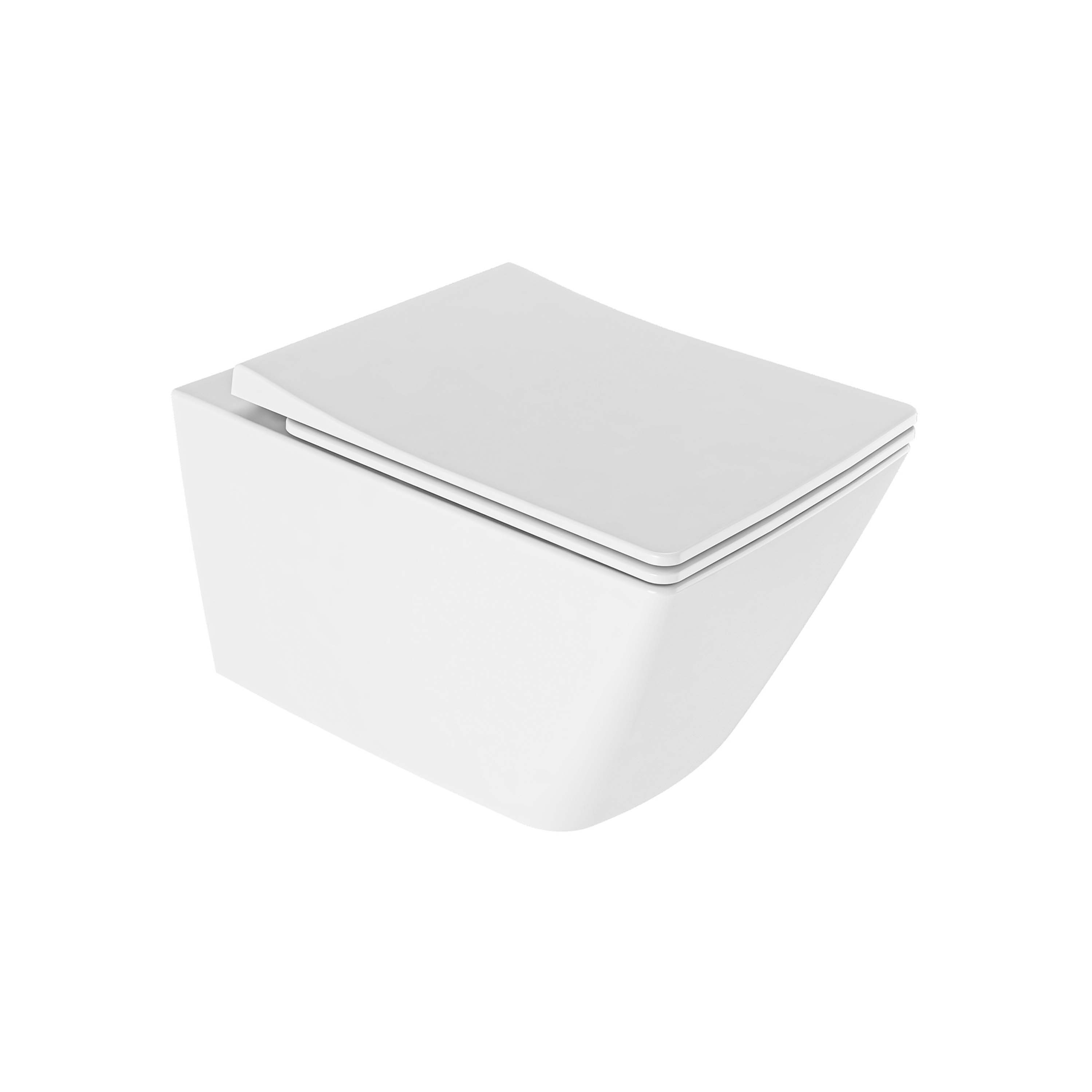 Mostra il prodotto Solid Rimless Wallhung WC With Bidet Function del produttore Kaleseramik