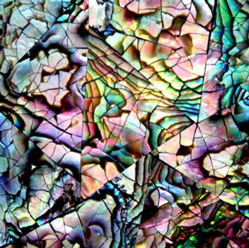 B-Matrix Group - Shell Tile Panel No.5