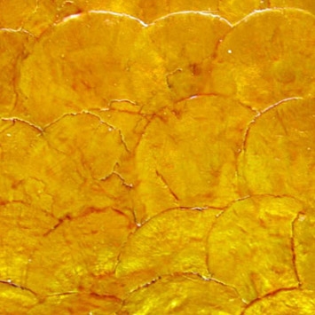 Mostrar el producto Shell Tile Panel No.26 del fabricante B-Matrix Group