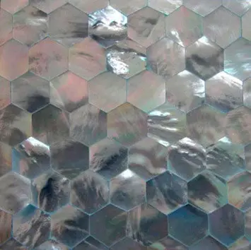 B-Matrix Group - Shell Tile Panel No.3