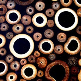 Produkt Bamboo Resin Panel No.03 des Herstellers B-Matrix Group anzeigen