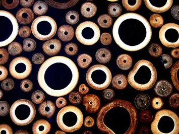 B-Matrix Group - Bamboo Resin Panel No.03