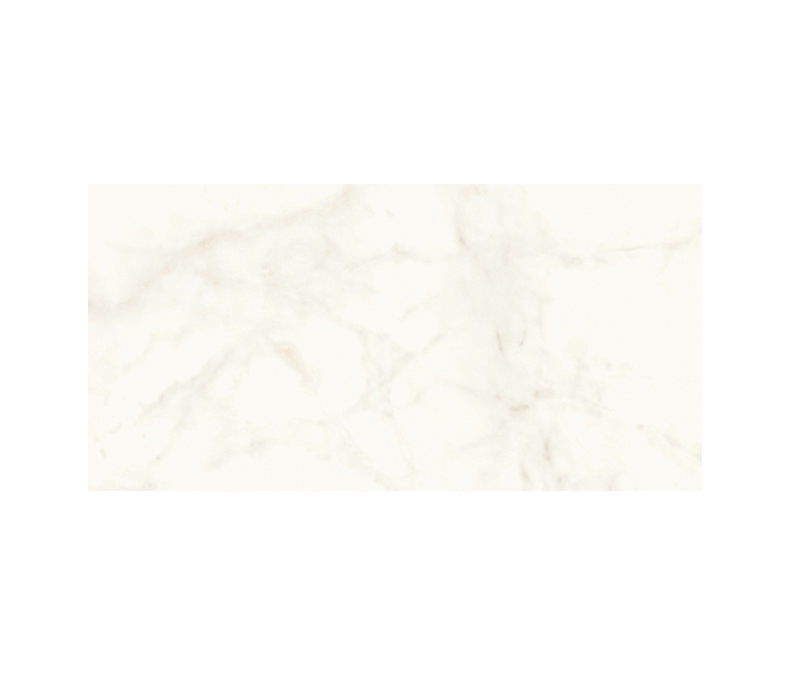 Mostra il prodotto Marvel Shine Calacatta Delicato 60x120 del produttore Atlas Concorde