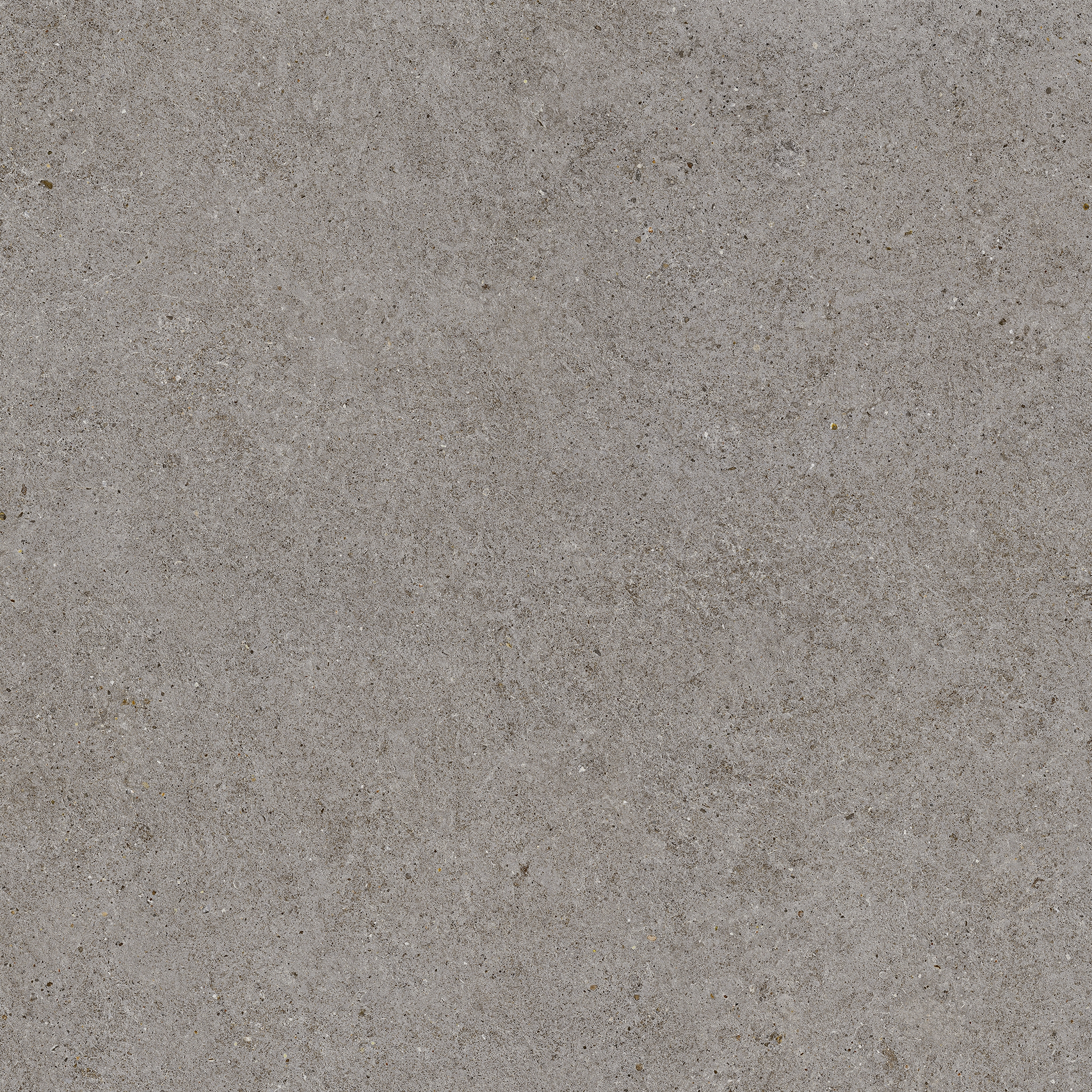 Mostrar el producto Boost Stone Smoke 120x278 Matt del fabricante Atlas Concorde