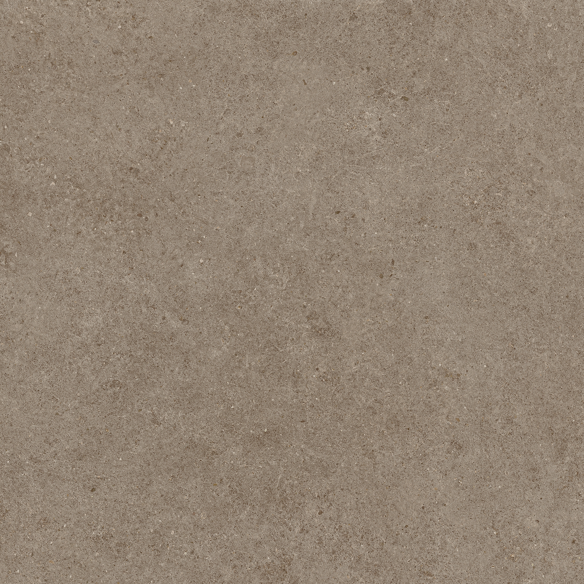 Boost Stone Taupe 120x120 Matt