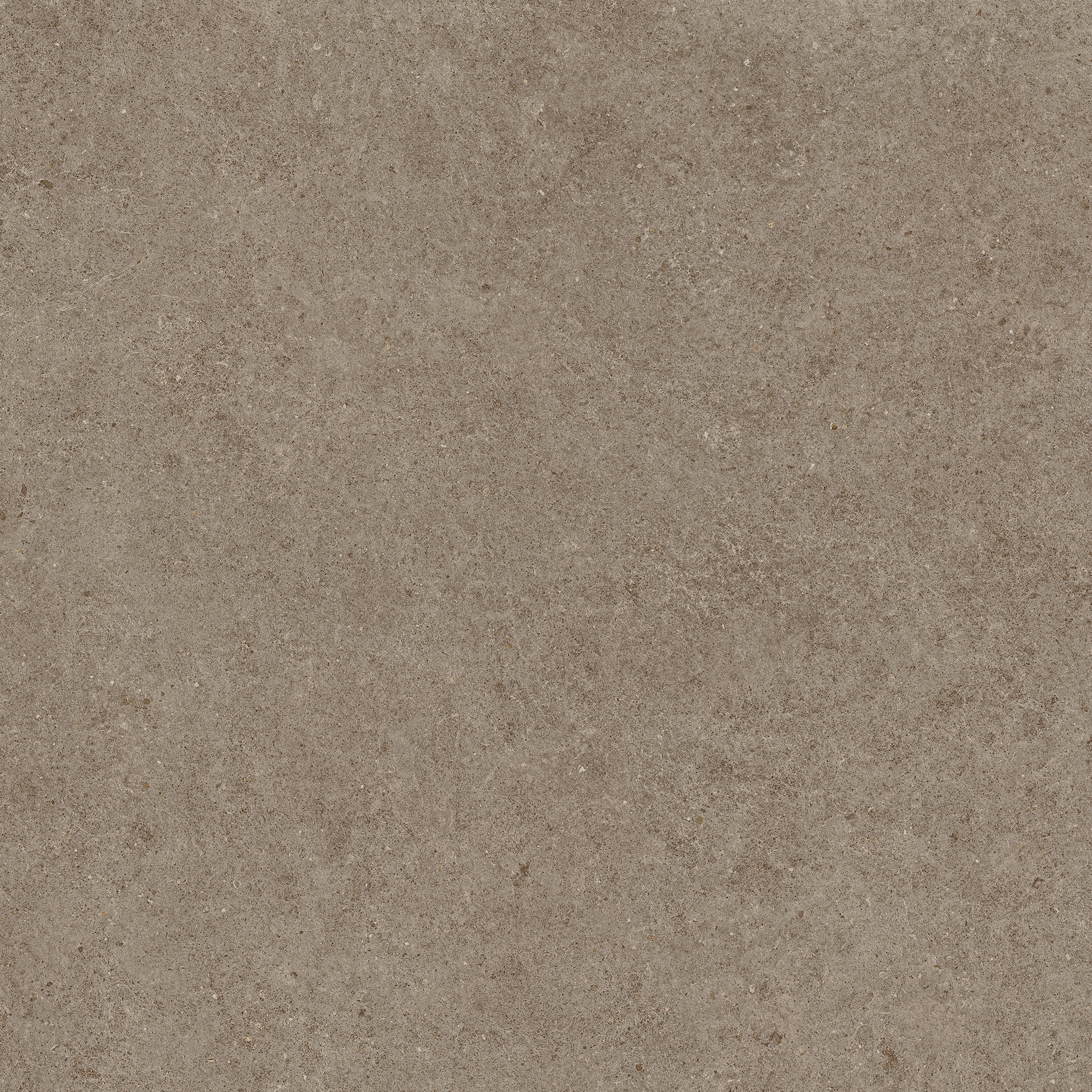 Boost Stone Taupe 120x278 Matt
