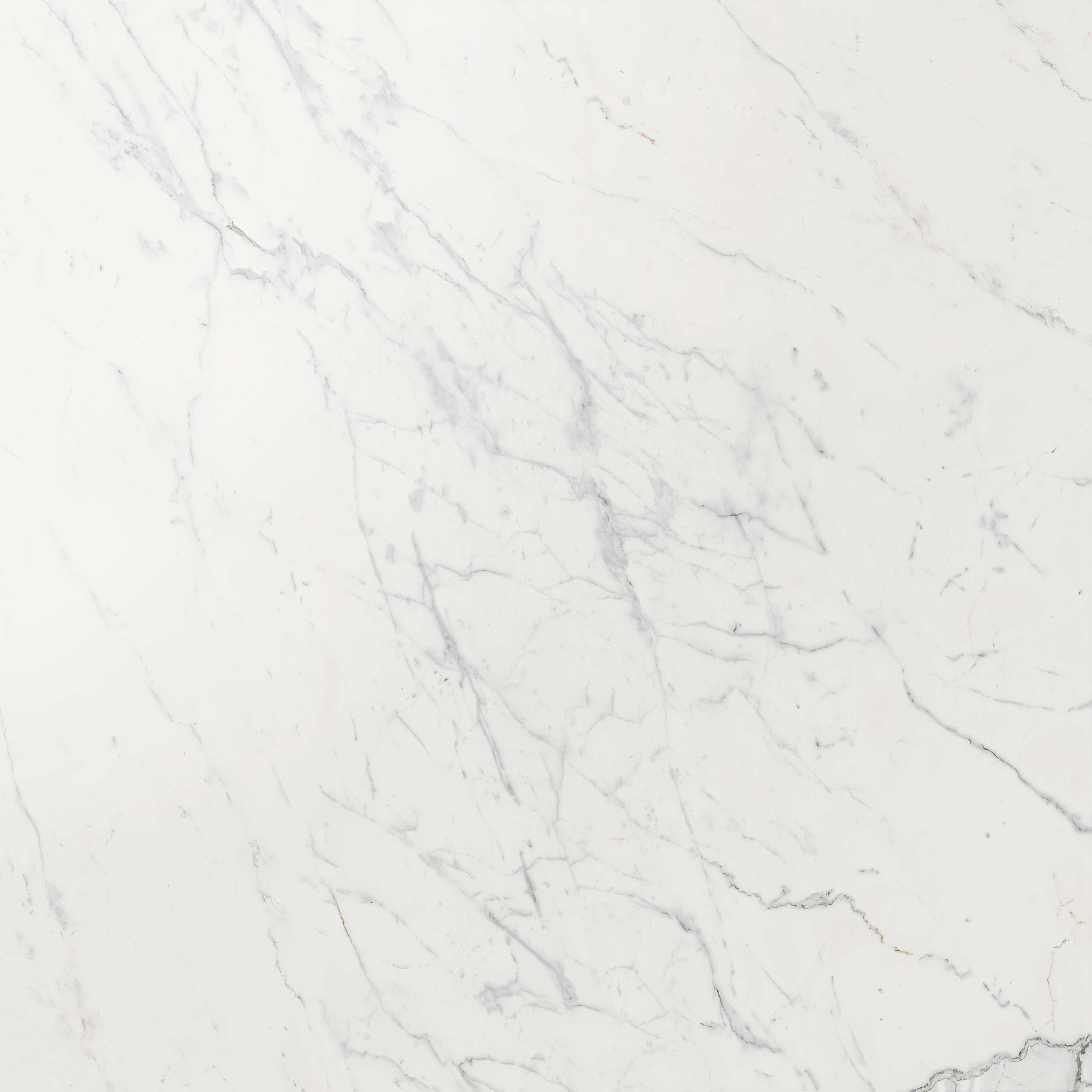 Mostra il prodotto Marvel Calacatta Extra 120x120 Lappato del produttore Atlas Concorde
