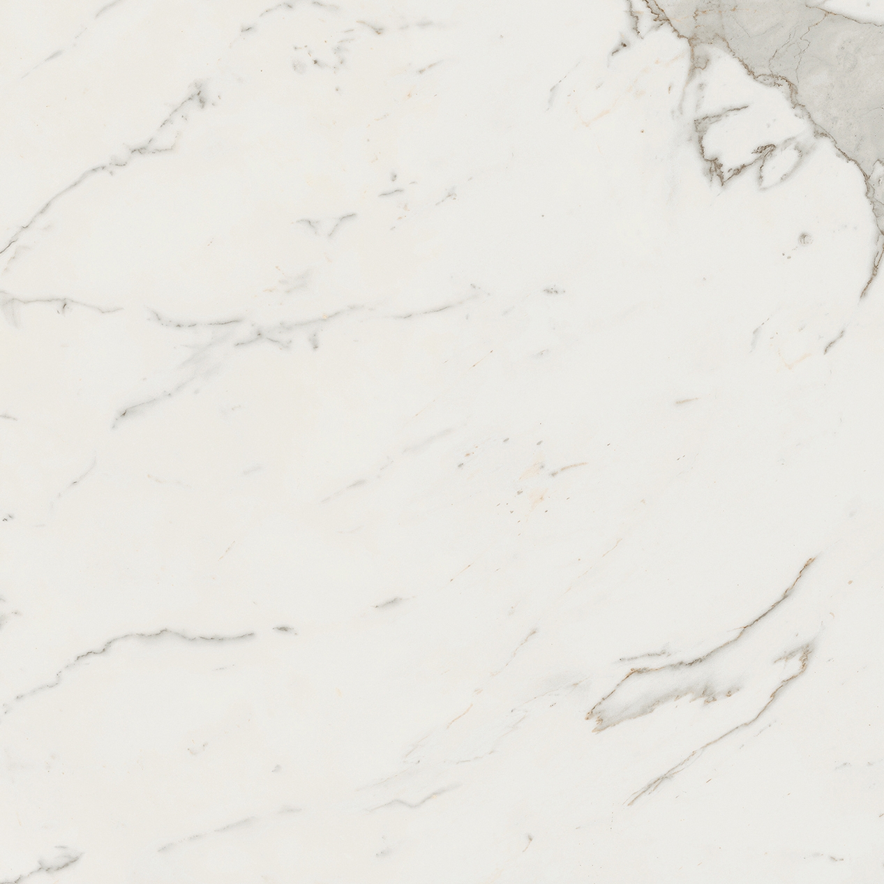 Display product Marvel Calacatta Extra Matt 75x150 from manufacturer Atlas Concorde