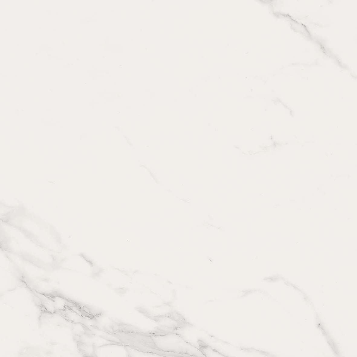 Mostra il prodotto Marvel Calacatta Extra 50x120 Shiny del produttore Atlas Concorde
