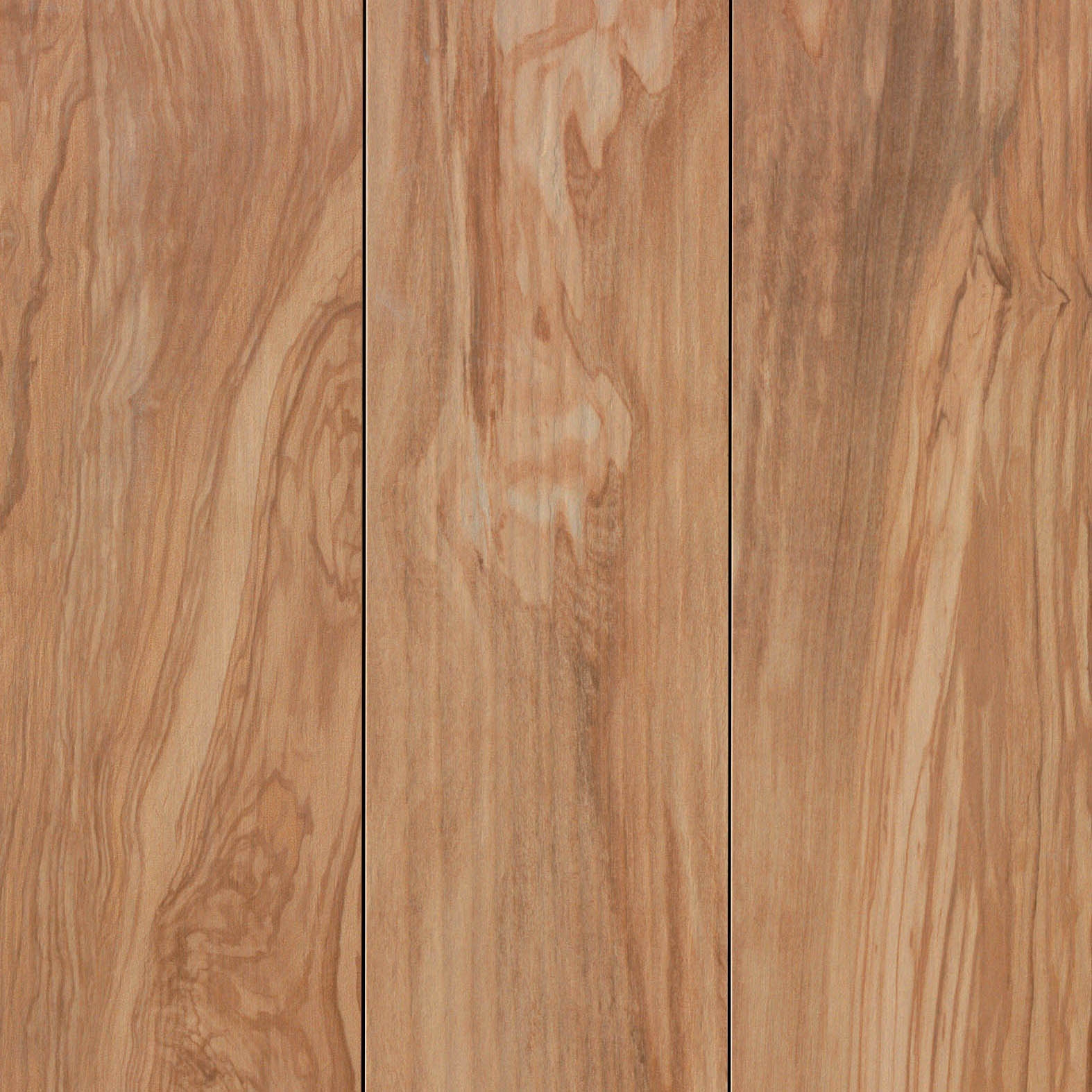 Etic Ulivo 22,5x90