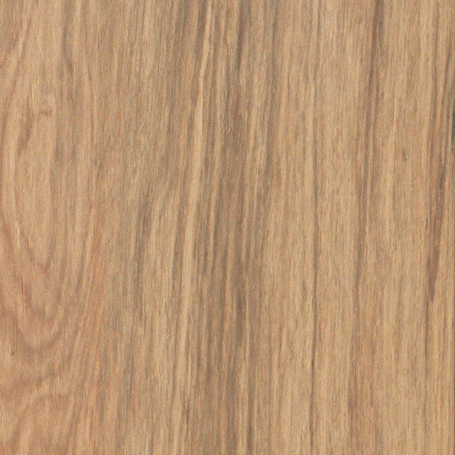 Etic Rovere bottone