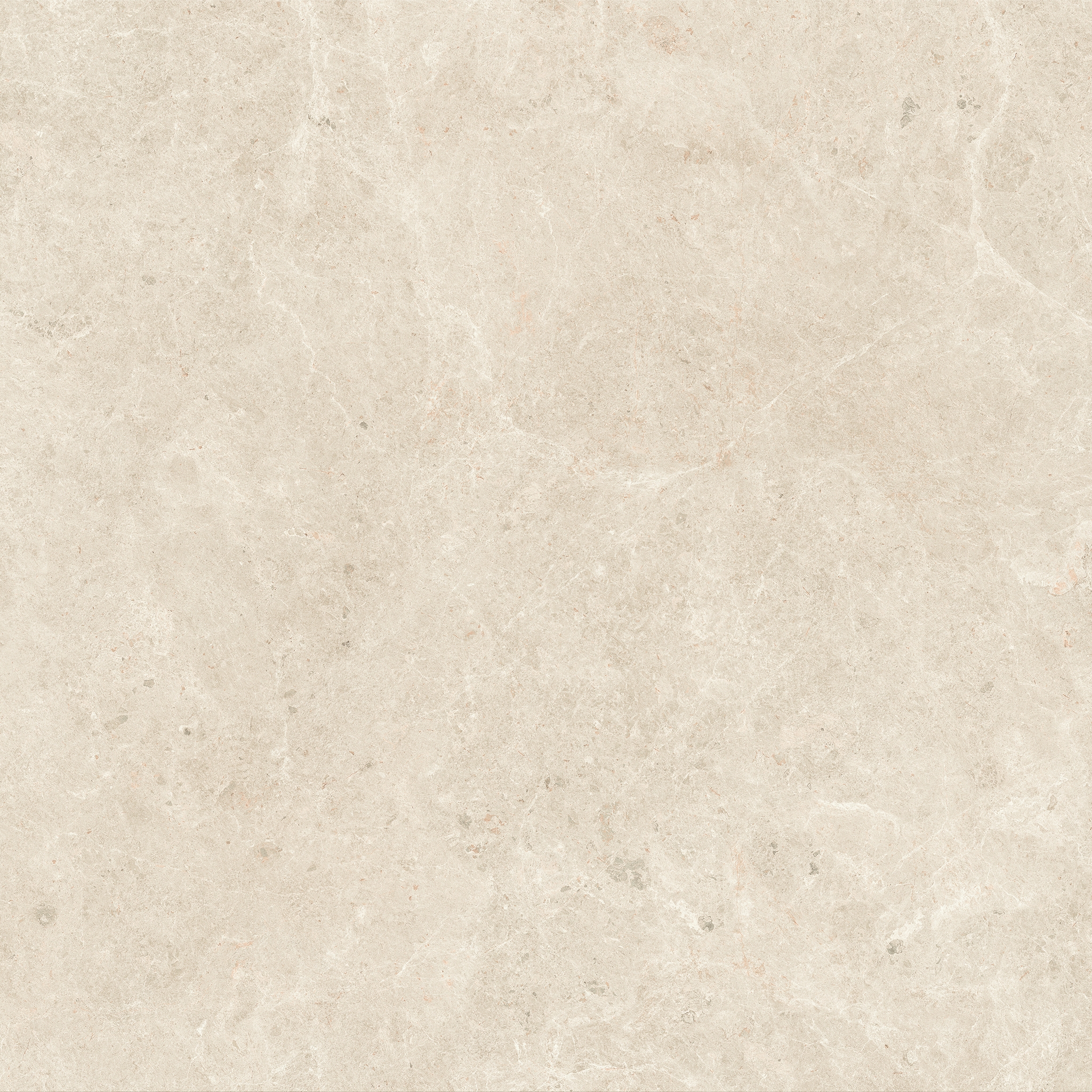 NYRA Hay 120x240