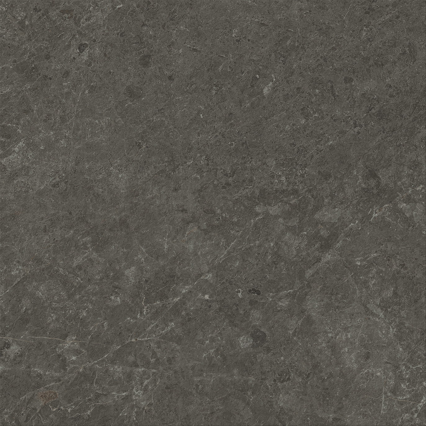 NYRA Charcoal 80x80