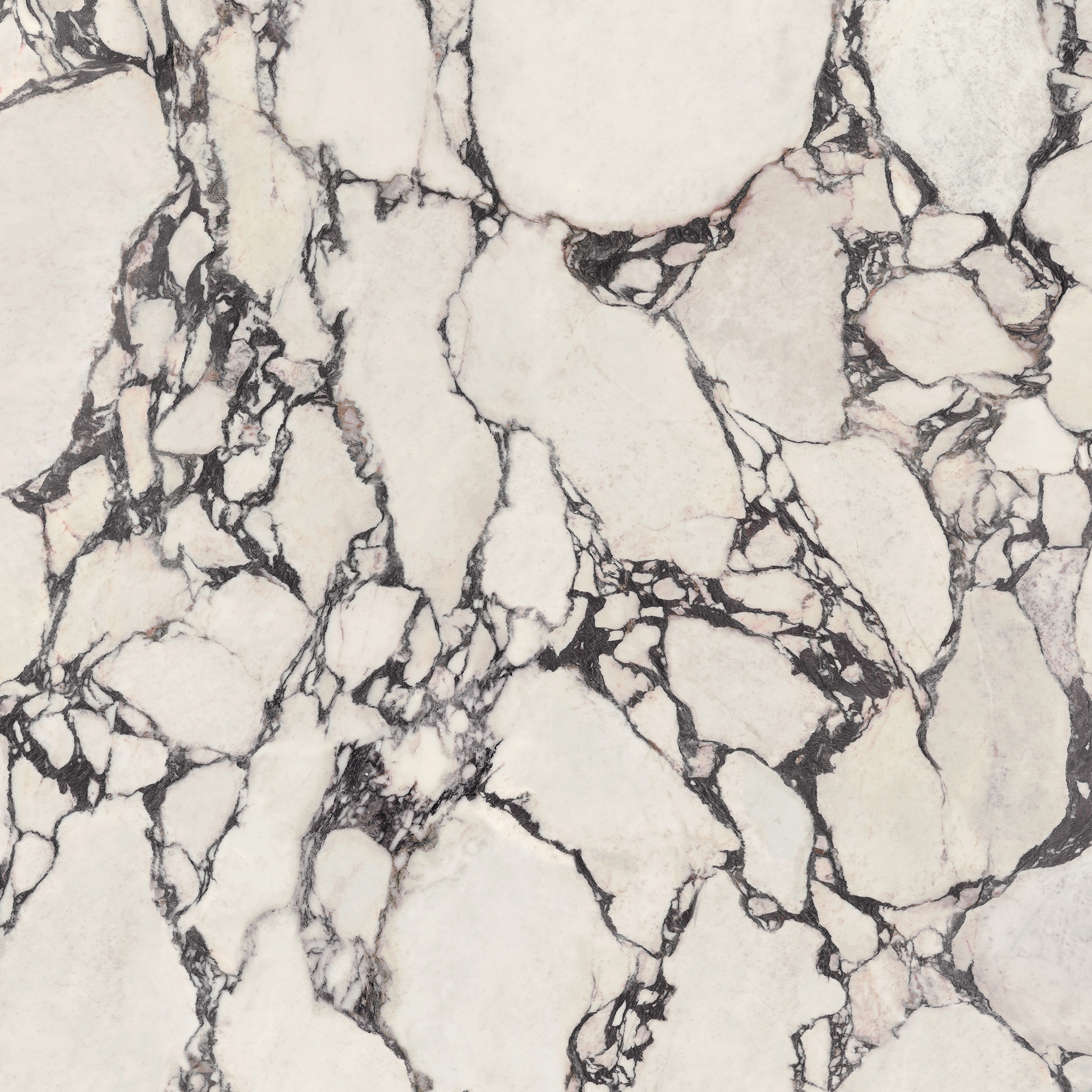 Marvel Epic Calacatta Viola 120x278 - 6mm Lapp.