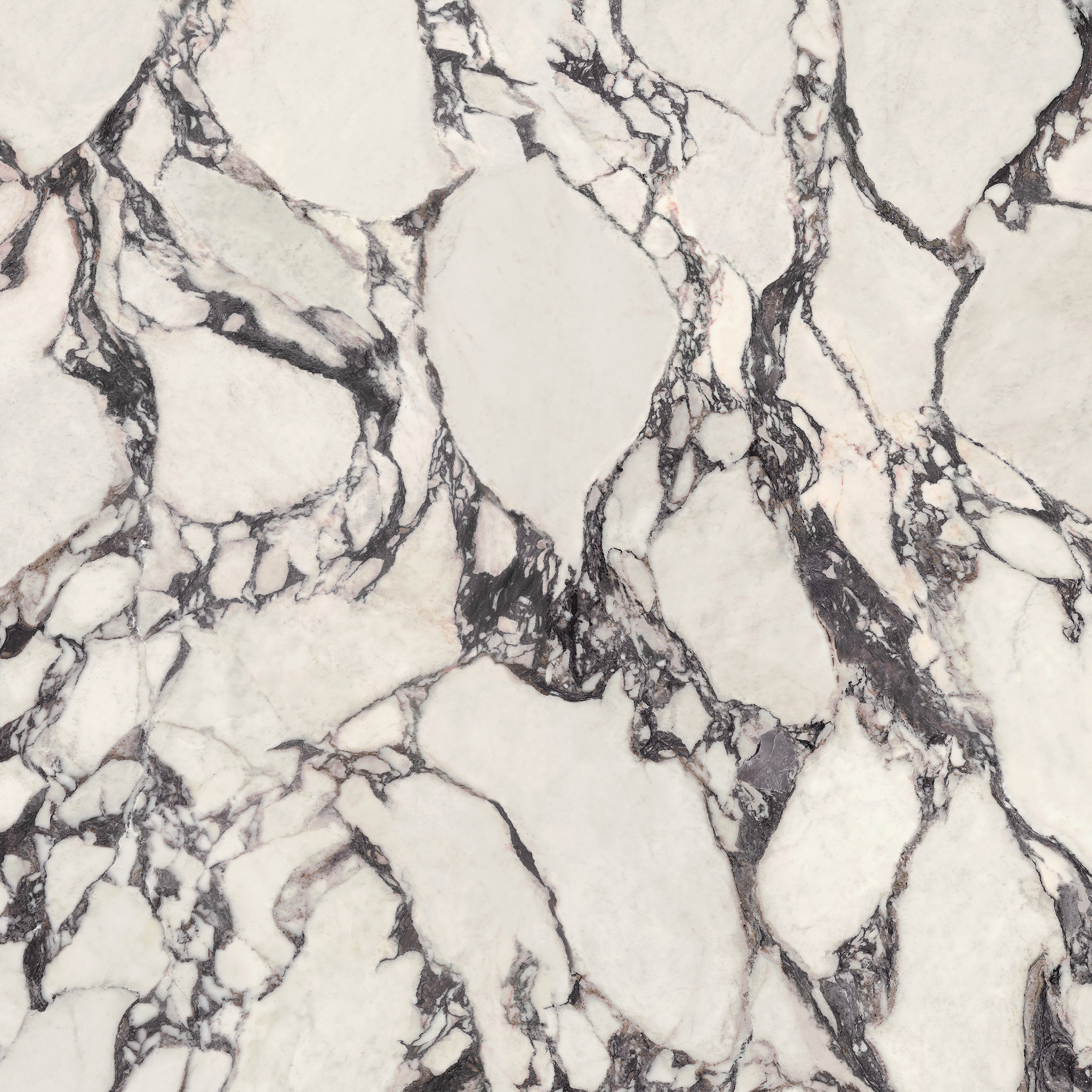 Marvel Epic Calacatta Viola 120x278 - 6mm Lapp.