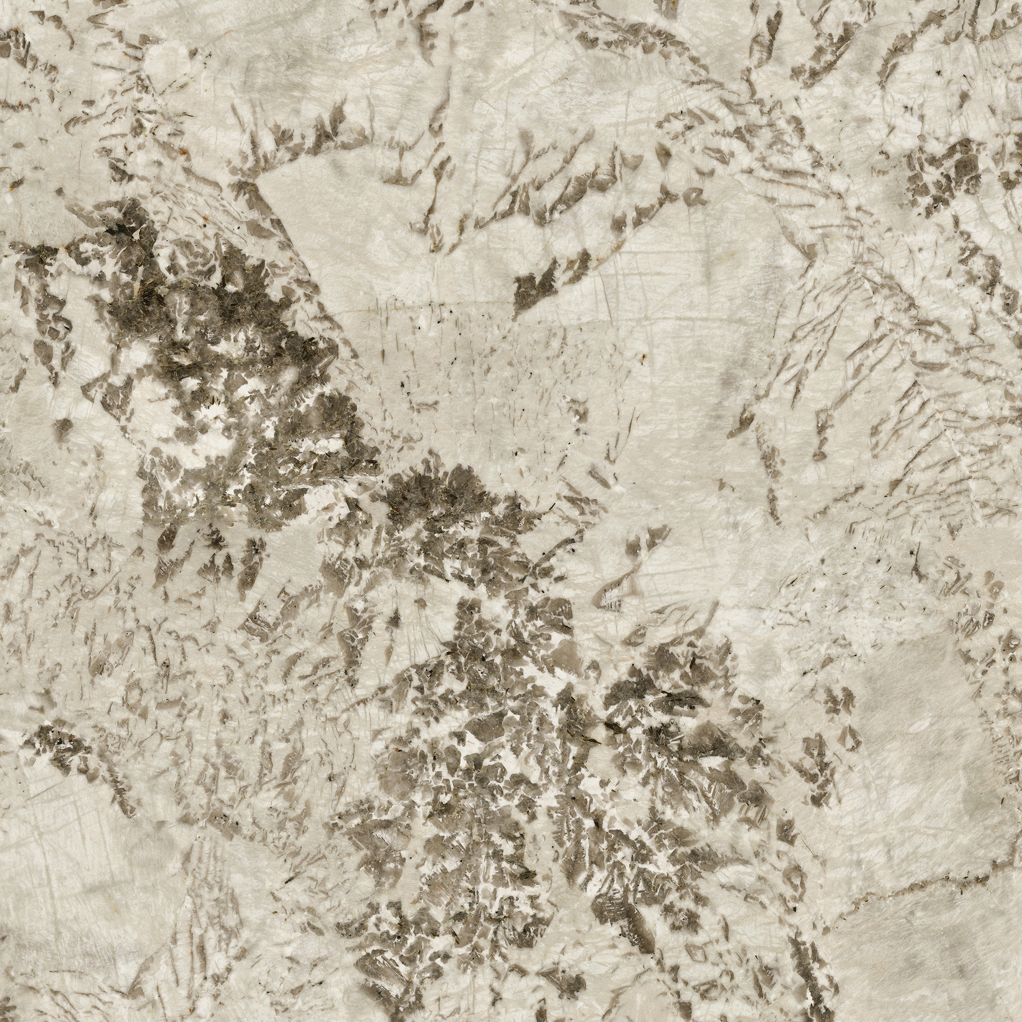 Marvel Epic Alpinus 120x278 - 6mm