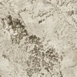 Marvel Epic Alpinus 120x278 - 6mm