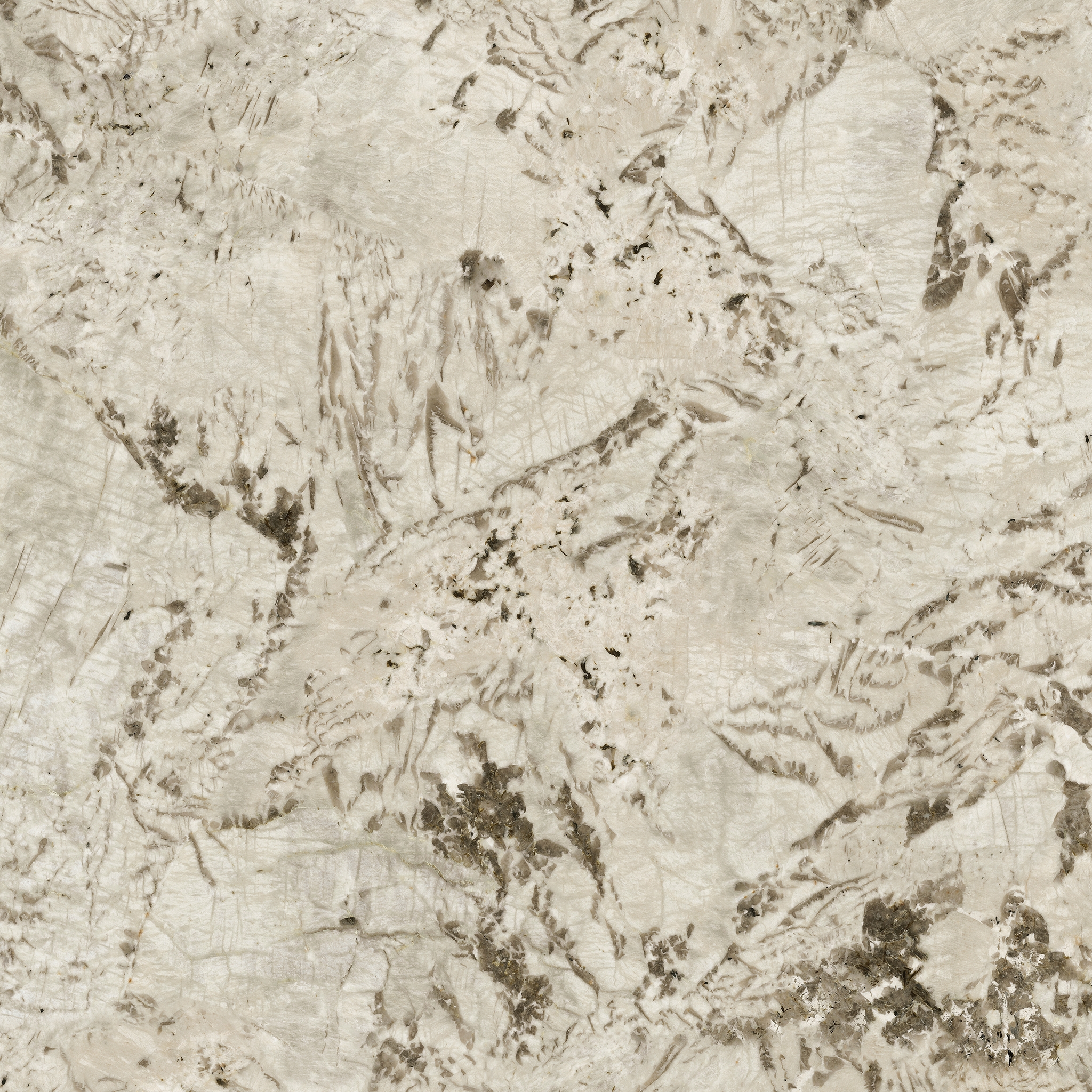 Marvel Epic Alpinus 120x278 - 6mm