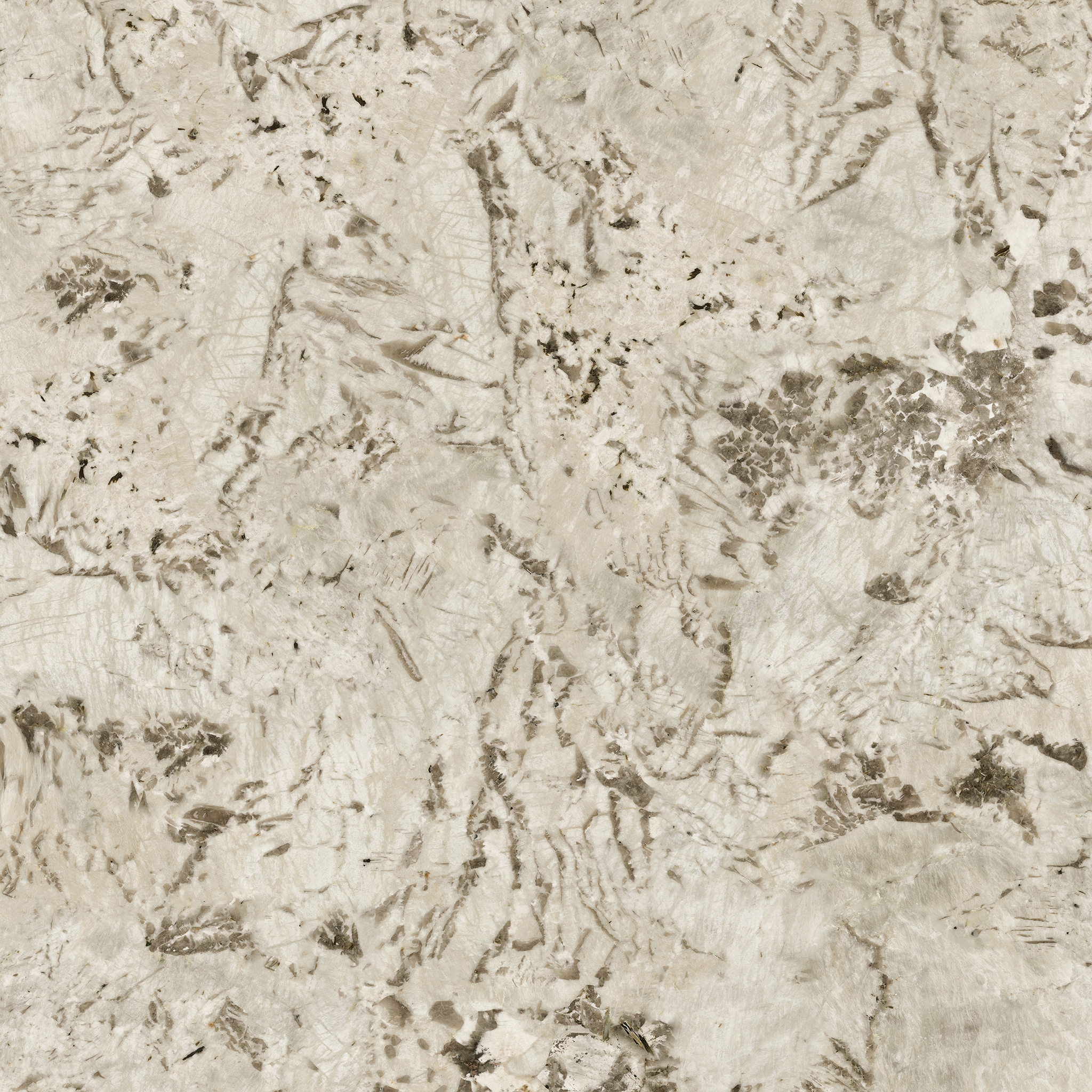 Marvel Epic Alpinus 120x278 - 6mm