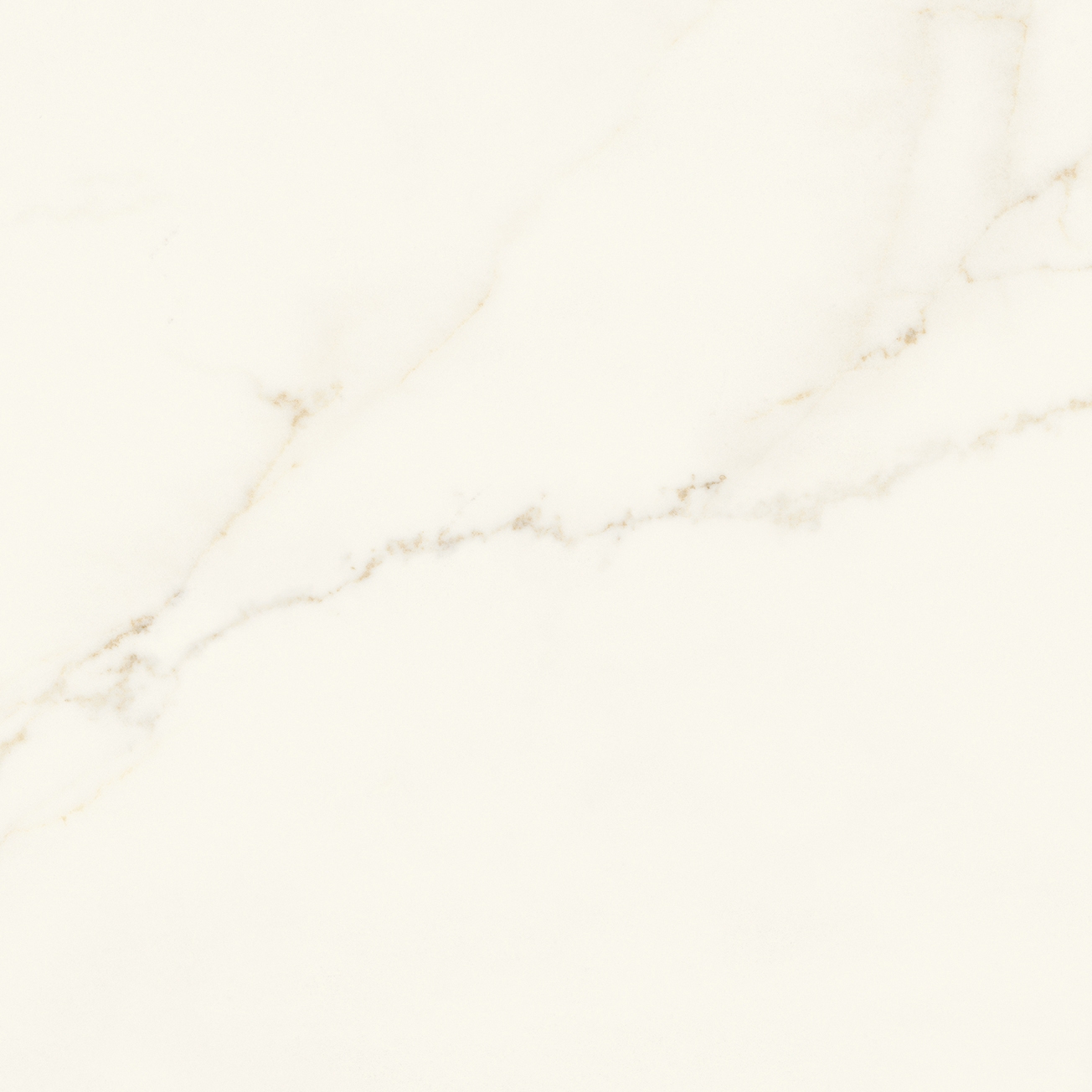 Marvel X Calacatta Apuano 75X75 Silk