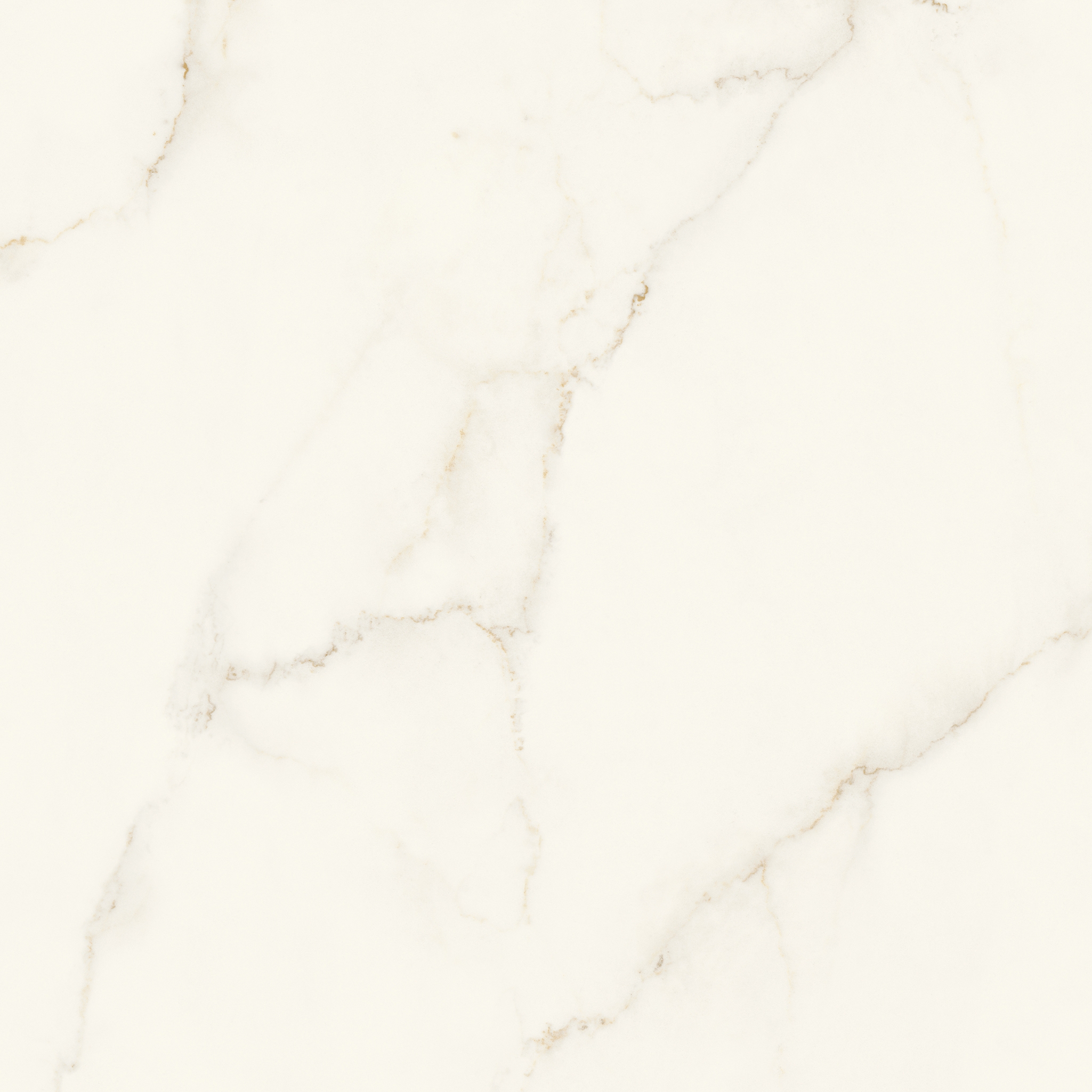 Display product Marvel X Calacatta Apuano 120X120 Silk from manufacturer Atlas Concorde