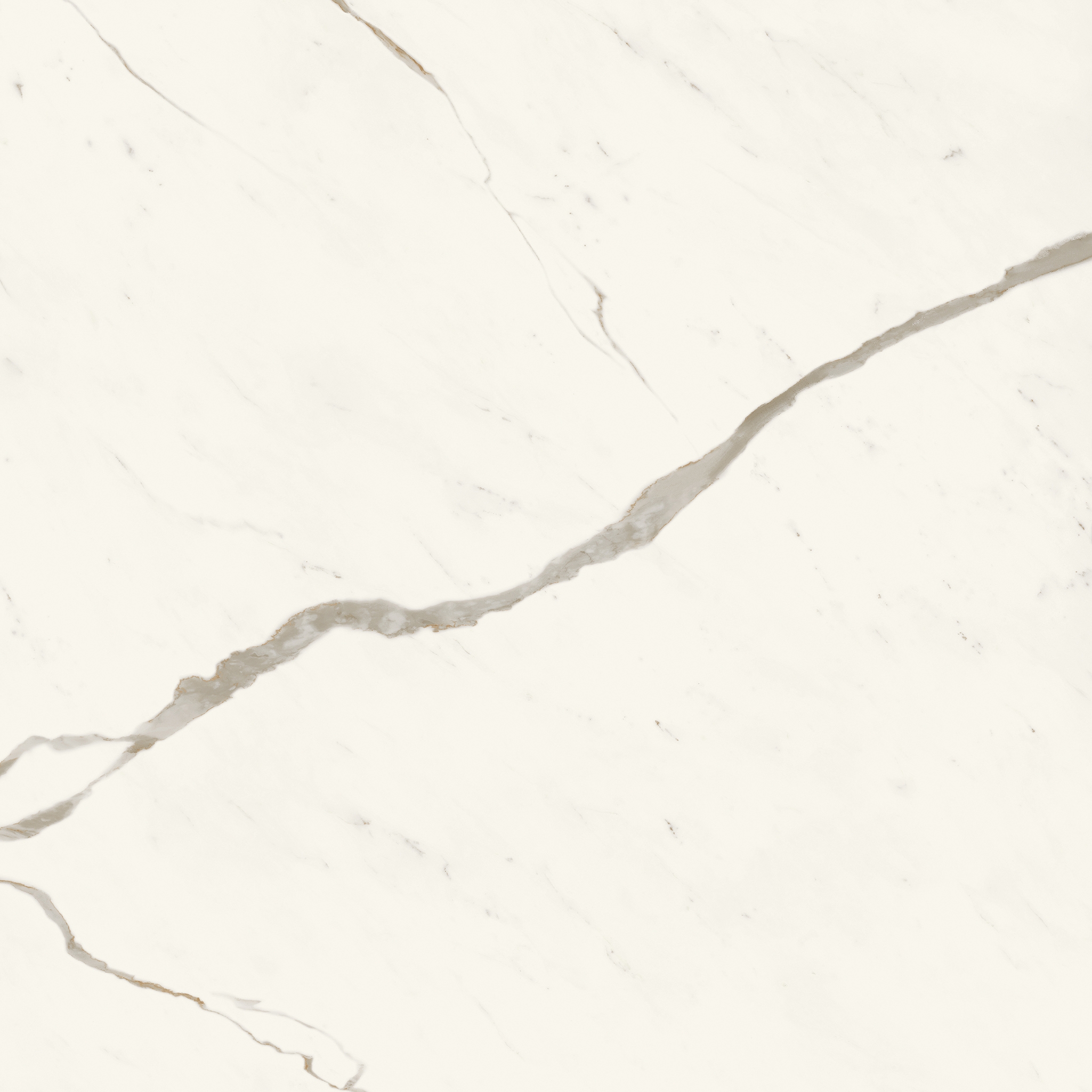 Marvel X Calacatta Sublime 120X120 Lappato