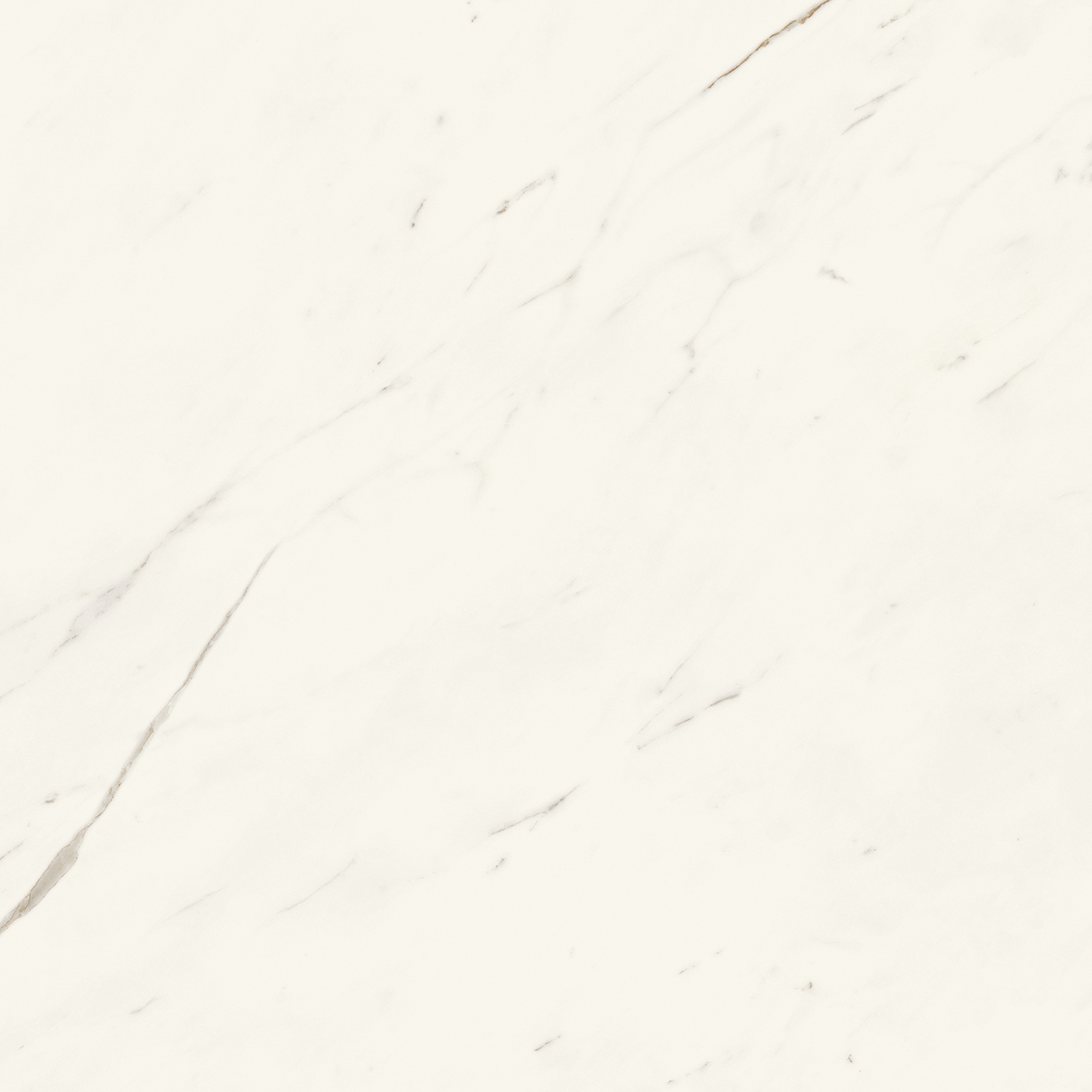 Marvel X Calacatta Sublime 75X75 Silk
