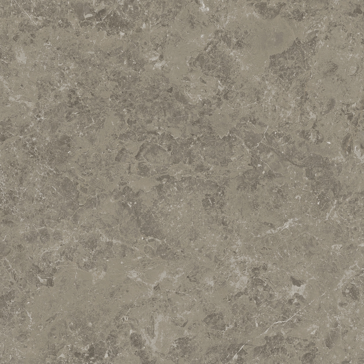 Marvel Meraviglia Grigio Elegante 75x150 Lapp.
