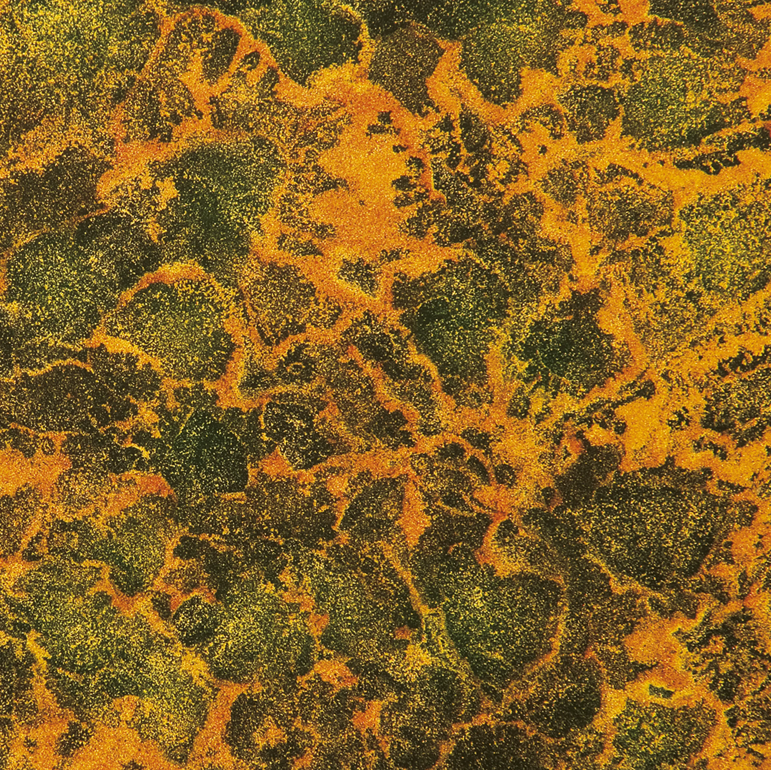 Antique Mirror - Damasco Giallo