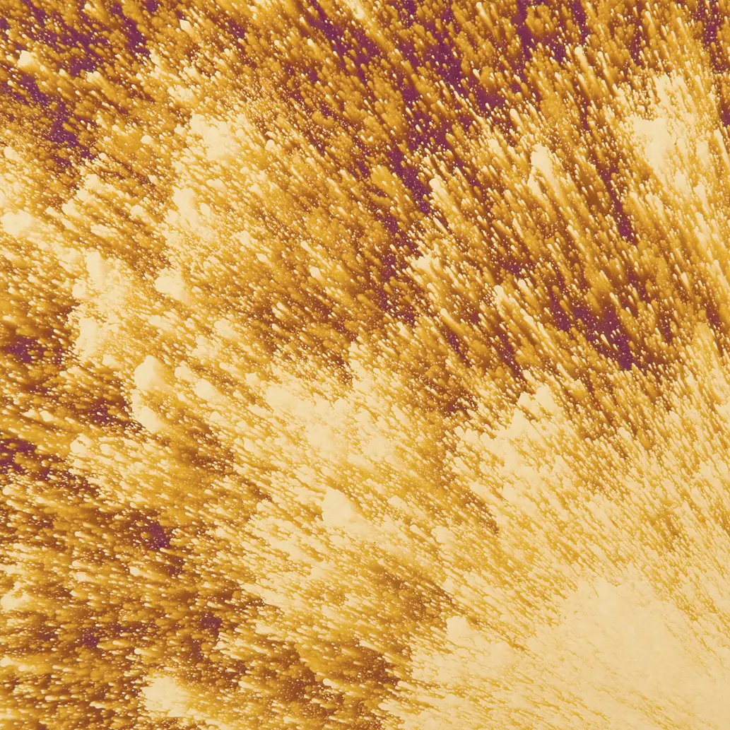 gallery-slide-0