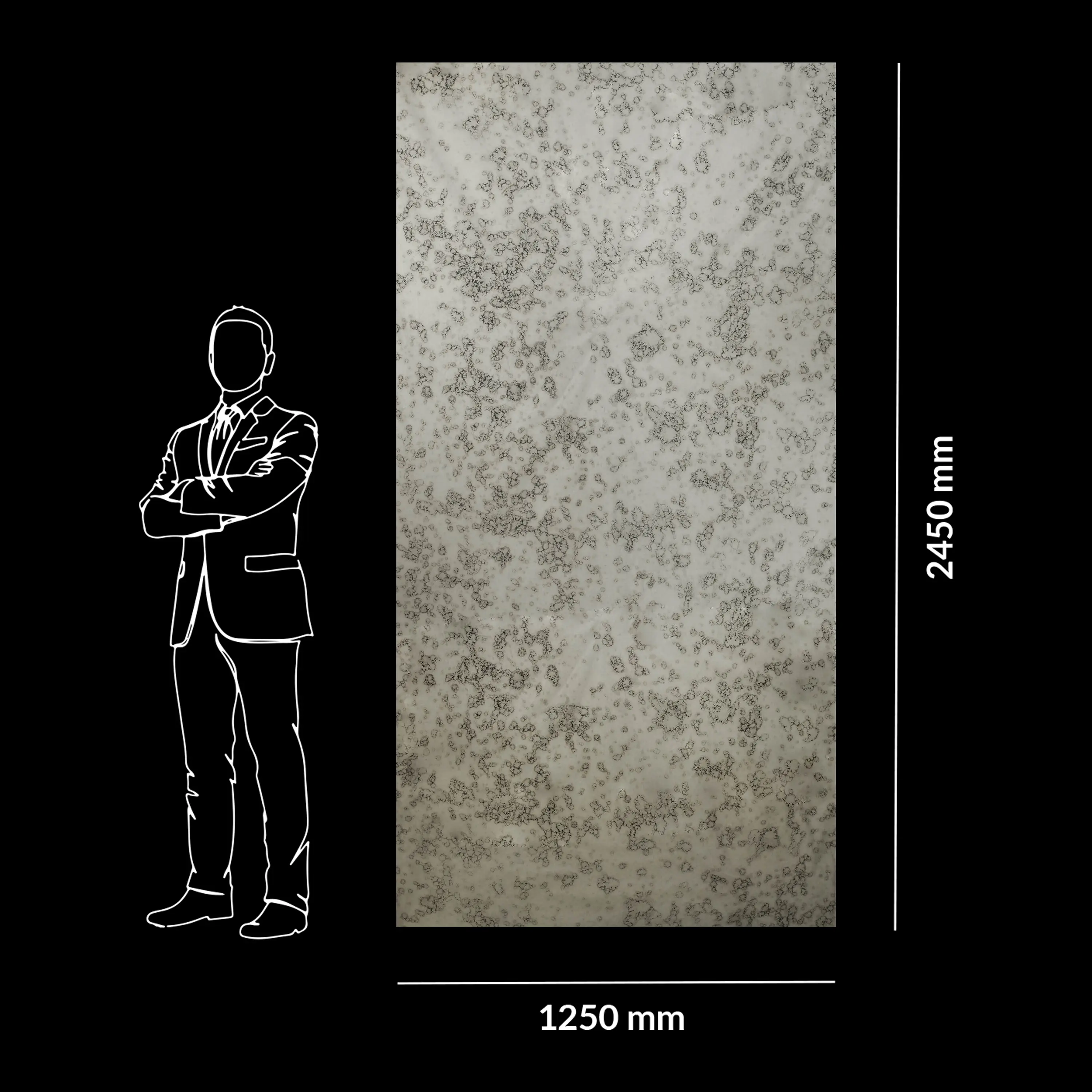 Antique Mirror - Specchi nel Tempo | Grigio Argento 2.