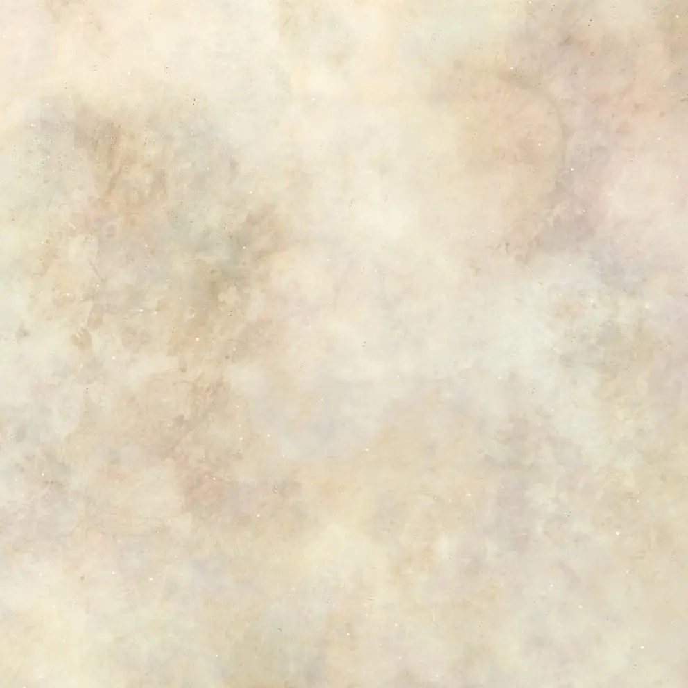 Antique Mirror - Specchi nel Tempo | Antico Veneziano 5.