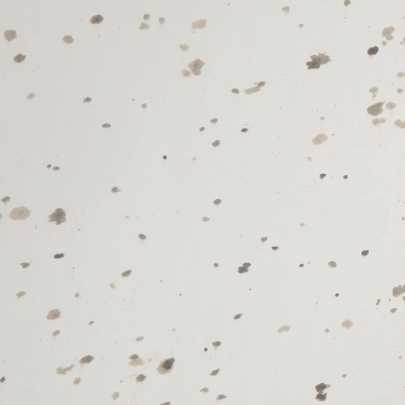 Afficher le produit Tiles | Meteora 3. du fabricant Antique Mirror