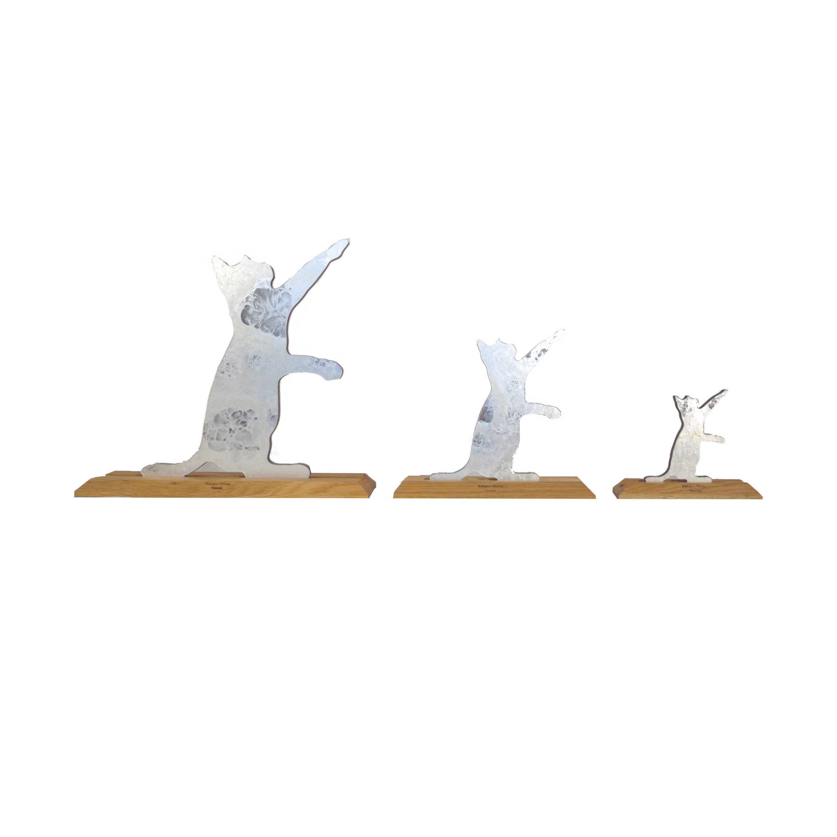 Display product Animals | Kitten from manufacturer Antique Mirror