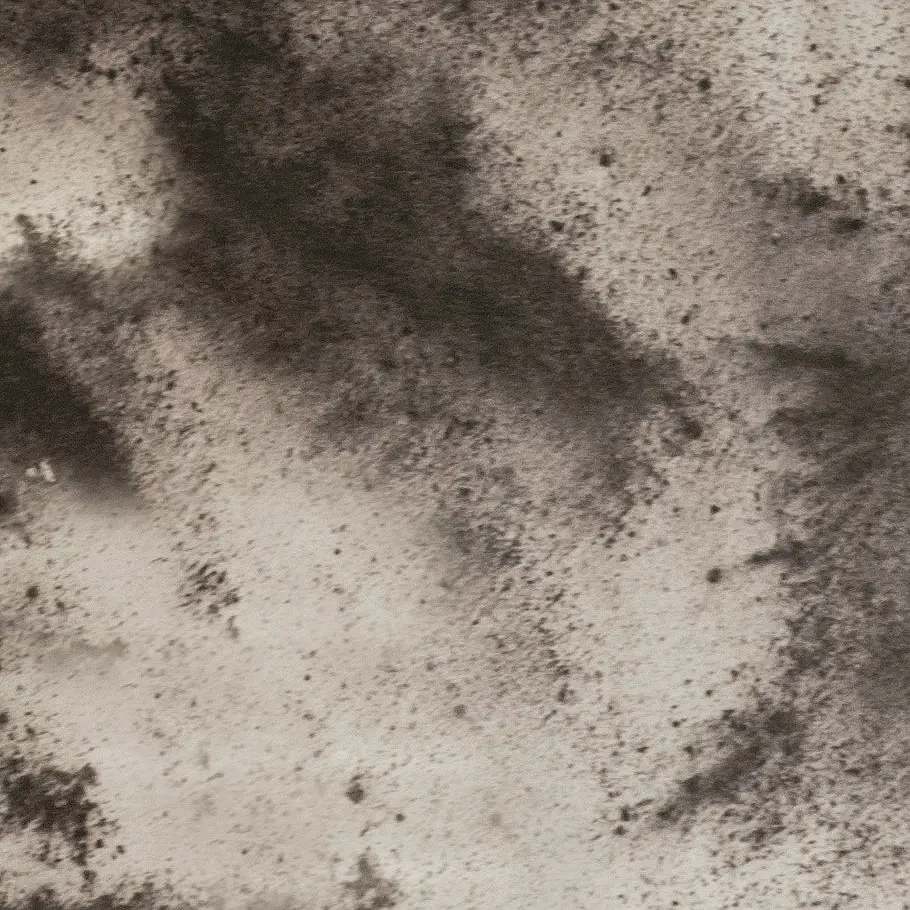 Antique Mirror - Specchi nel Tempo | Luna
