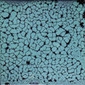 Display product Rhapsody glazed tile 10x10 cm from manufacturer Royce Wood