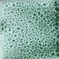 Display product Seaspray glazed tile 10x10 cm from manufacturer Royce Wood