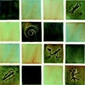 Display product Moss Mix glazed tiles 10x10 cm from manufacturer Royce Wood