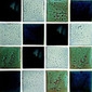Display product Verdigris Mix glazed tiles 10x10 cm from manufacturer Royce Wood