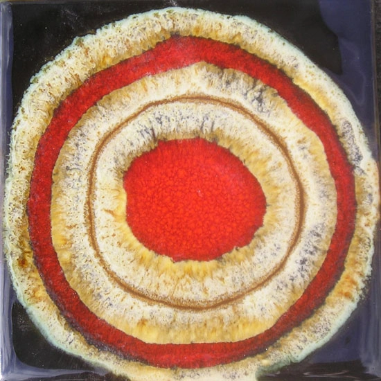 POPPY WHEAT RINGS GLAZED TILE - Ceramic tiles from Royce Wood | Architonic