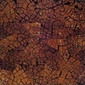 Display product Dakota palm panel from manufacturer Omarno