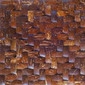 Truffle palm mosaic