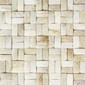 Maldives palm mosaic