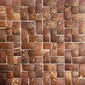 Inno palm mosaic