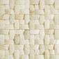 Sahi palm mosaic