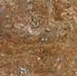 Pisani - Travertine Walnut Extra