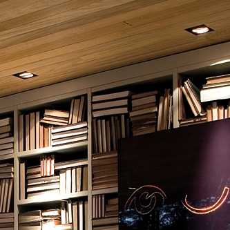 Afficher le produit Noframe ceiling lights du fabricant Lumini