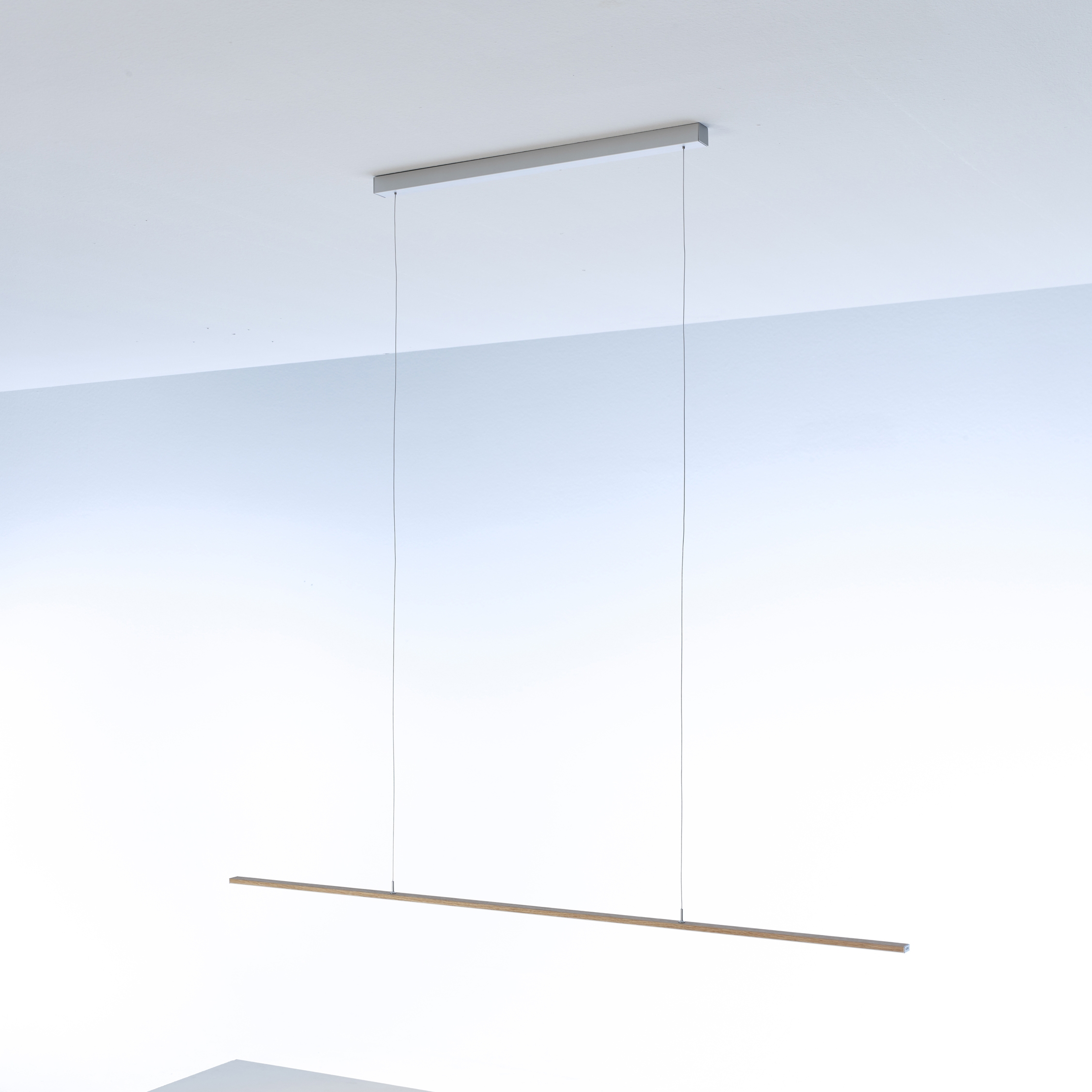 Display product Pendant light 20x10 | GERA light system 4 from manufacturer GERA